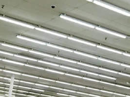 DALI Flurorescent Lights showing office ceiling